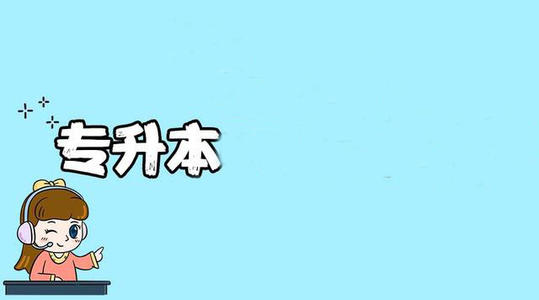 56 56
