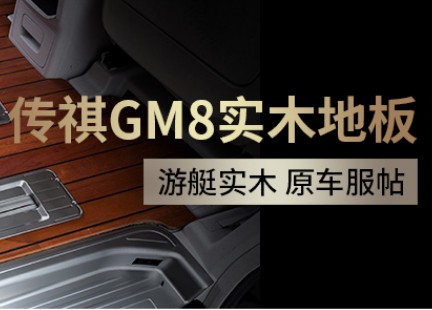 传祺GM8实木地板脚垫 18-19款大包围广汽传奇gm8商务车改装饰专用