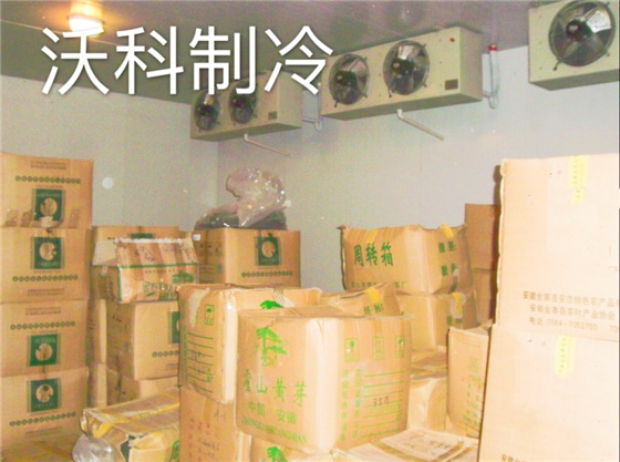 茶葉保鮮冷庫安裝建造
