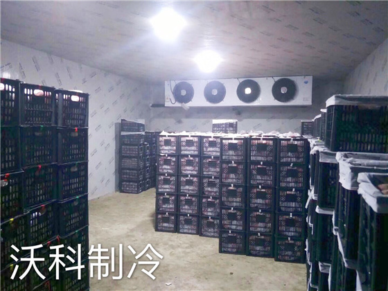 水果保鮮冷庫安裝建造