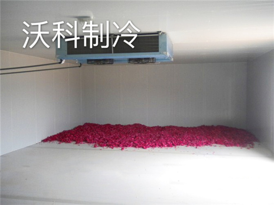 鮮花保鮮冷庫建造
