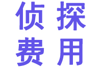 侦探调查费用