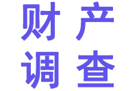 深圳财产调查