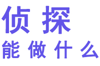 私家正规侦探