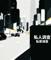 上海侦探 (15)