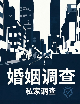 上海侦探 (33)