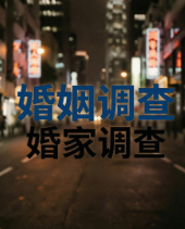 上海侦探 (41)