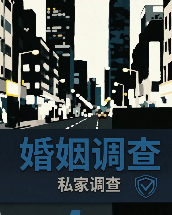 上海侦探 (44)