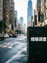 上海侦探 (45)