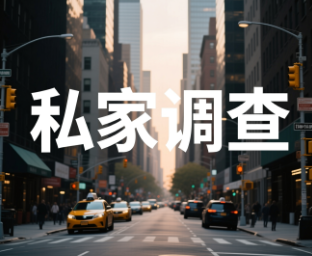 上海侦探 (49)