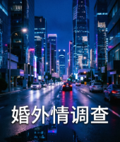 上海侦探 (53)