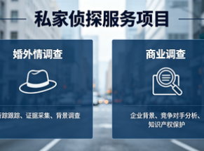 上海侦探 (1)